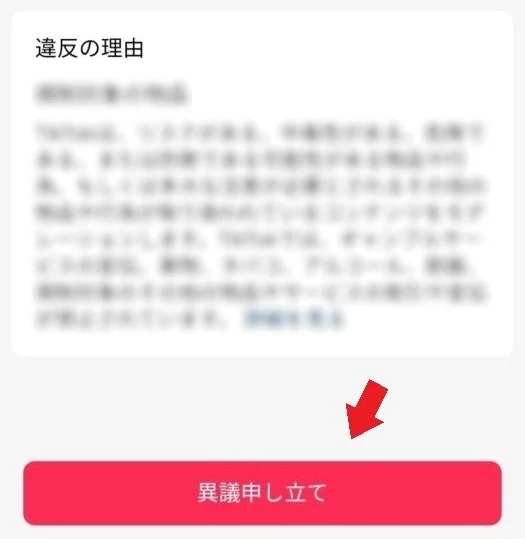 ステップ4:異議申し立てを行う